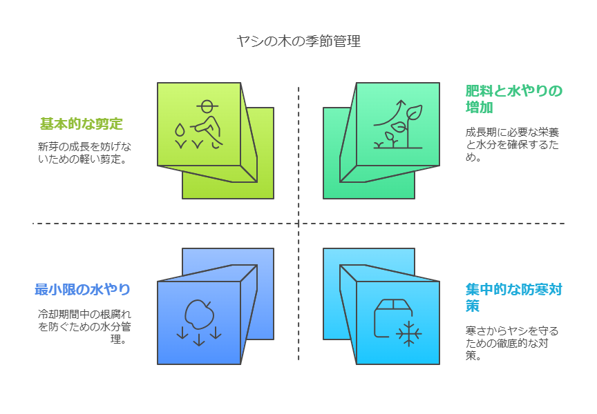 ヤシの木 庭 注意点